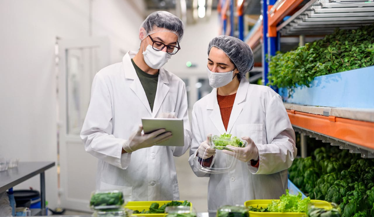 Curso de Higiene Alimentaria: Prácticas Seguras en la Industria de Alimentos